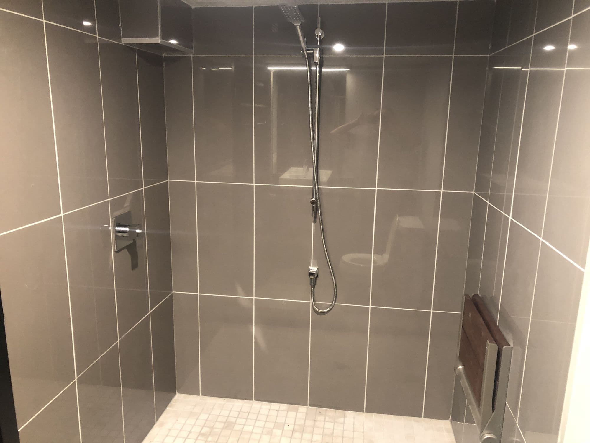 Luxury master bathroom renovation